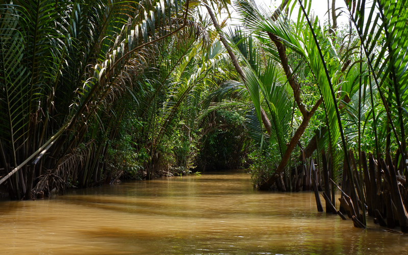 mekong delta tour ho chi minh